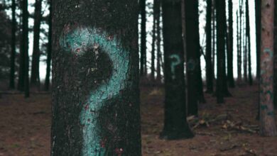 600 اسئلة عامة ثقافية واجوبتها 2024